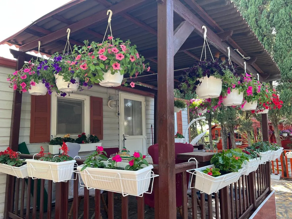Appartement Villa Dalibor wellness, 2 jacuzzies, sauna, parking, grill, observatory, Mediterranean garden Nin