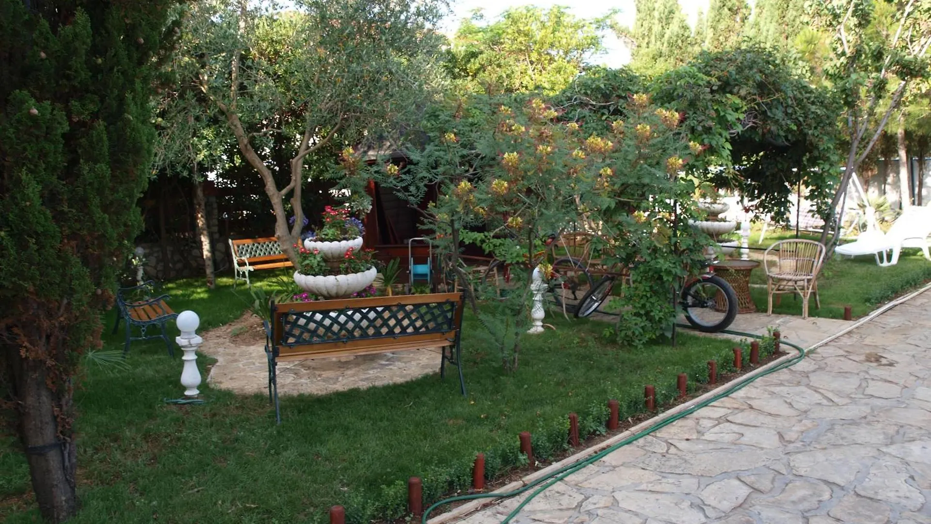 Apartments And Bungalows Vila Dalibor